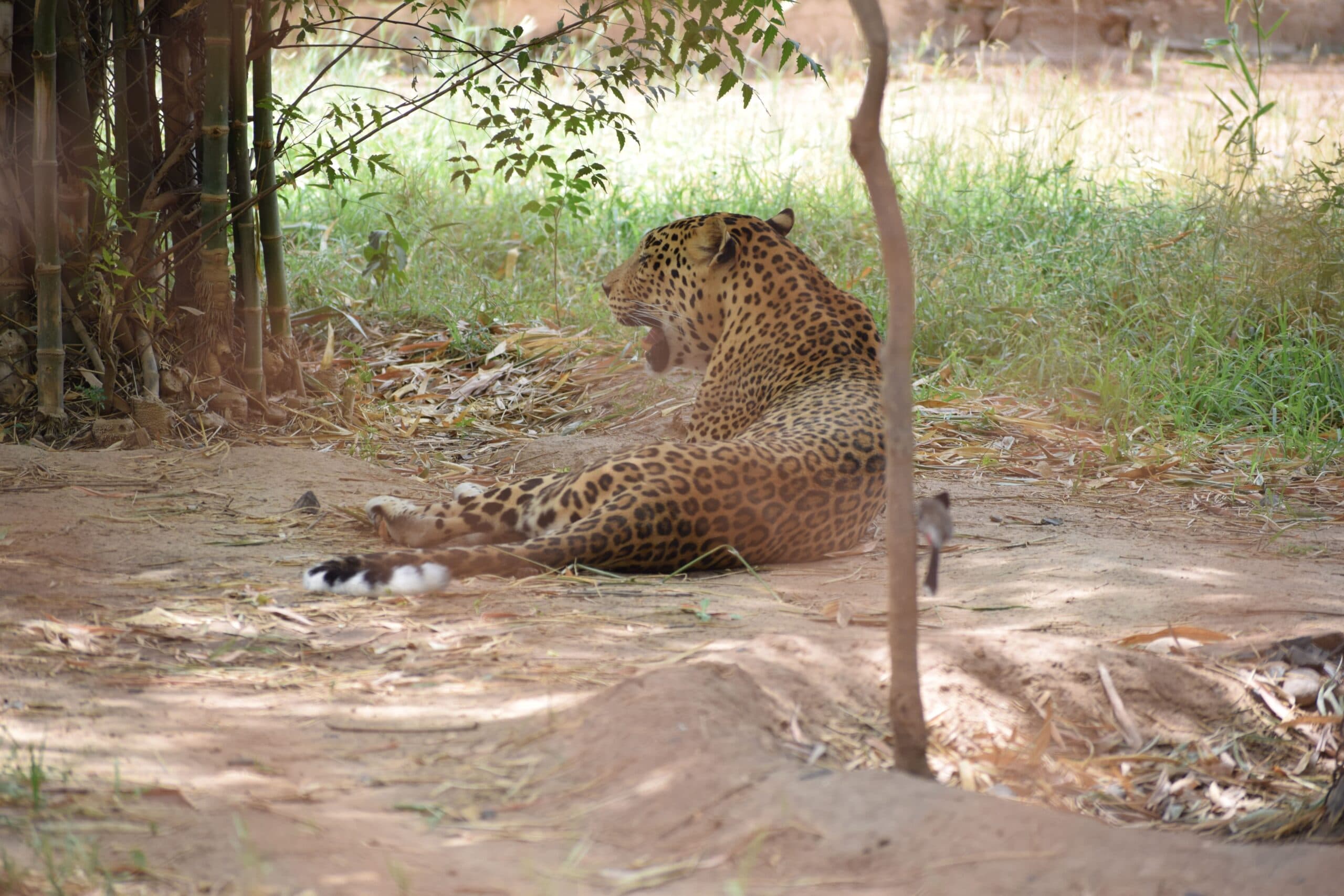 Gandhinagar
