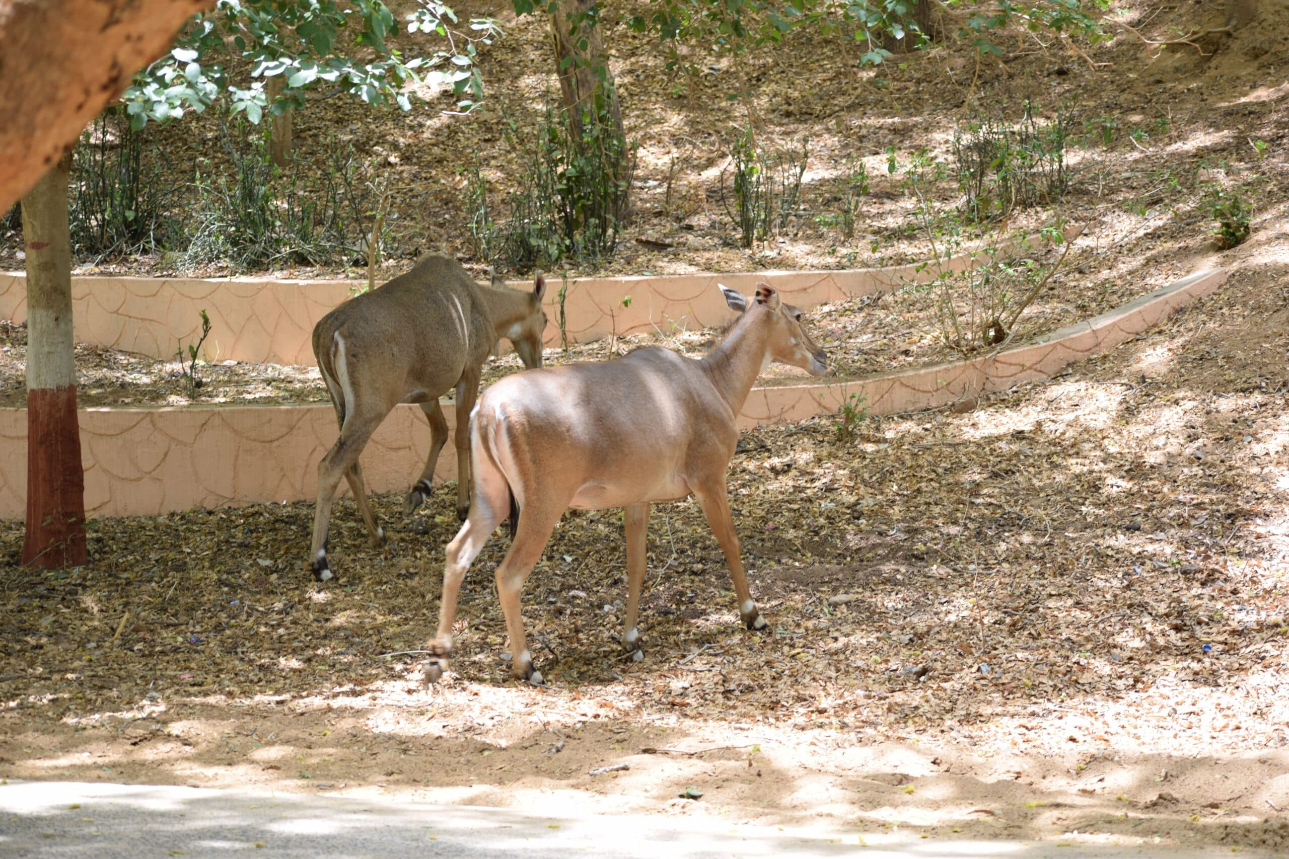 Gandhinagar