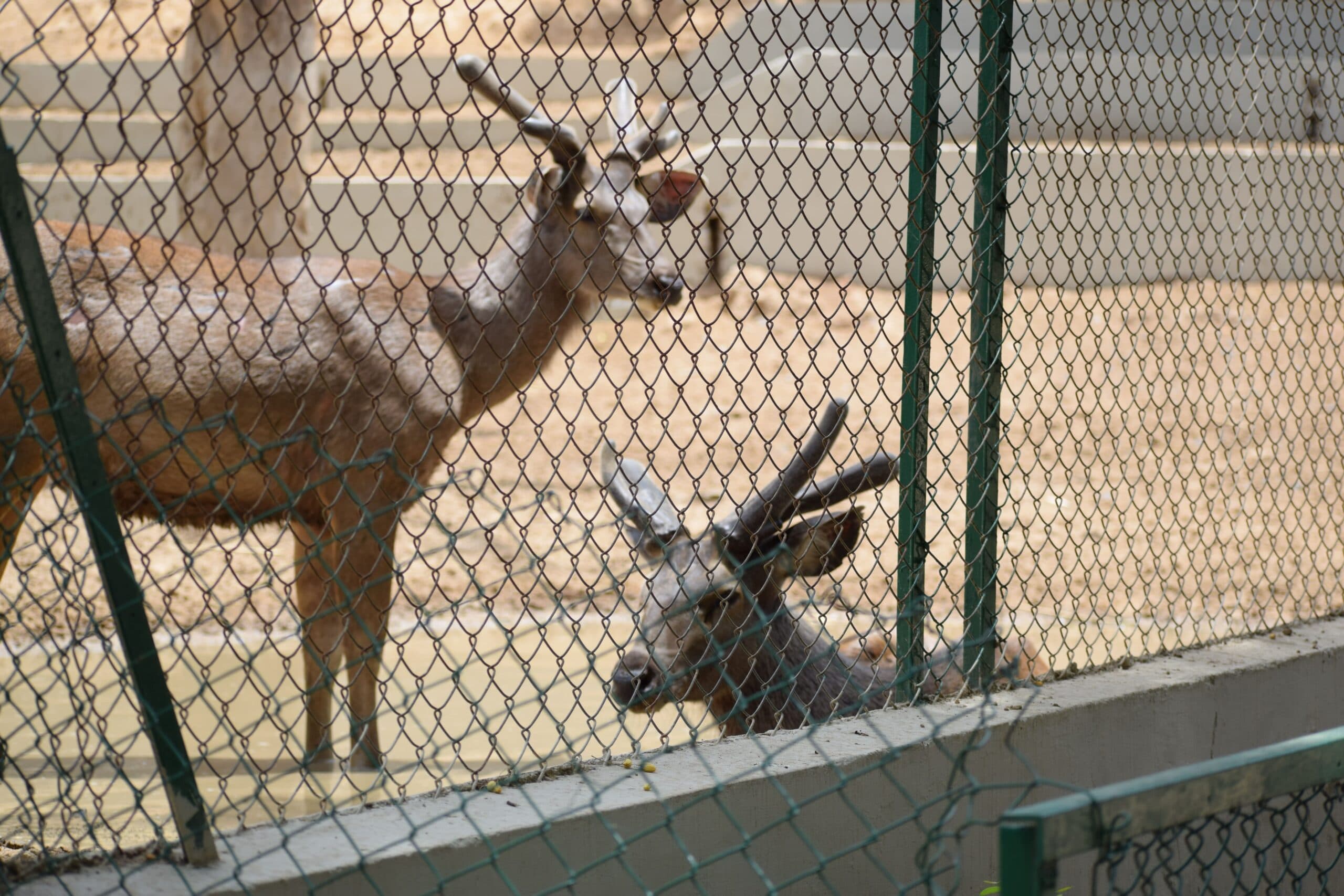 Gandhinagar