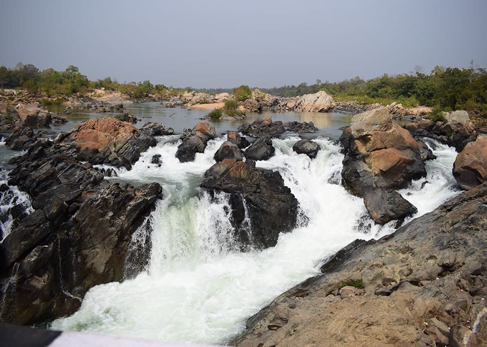 DSC 0140