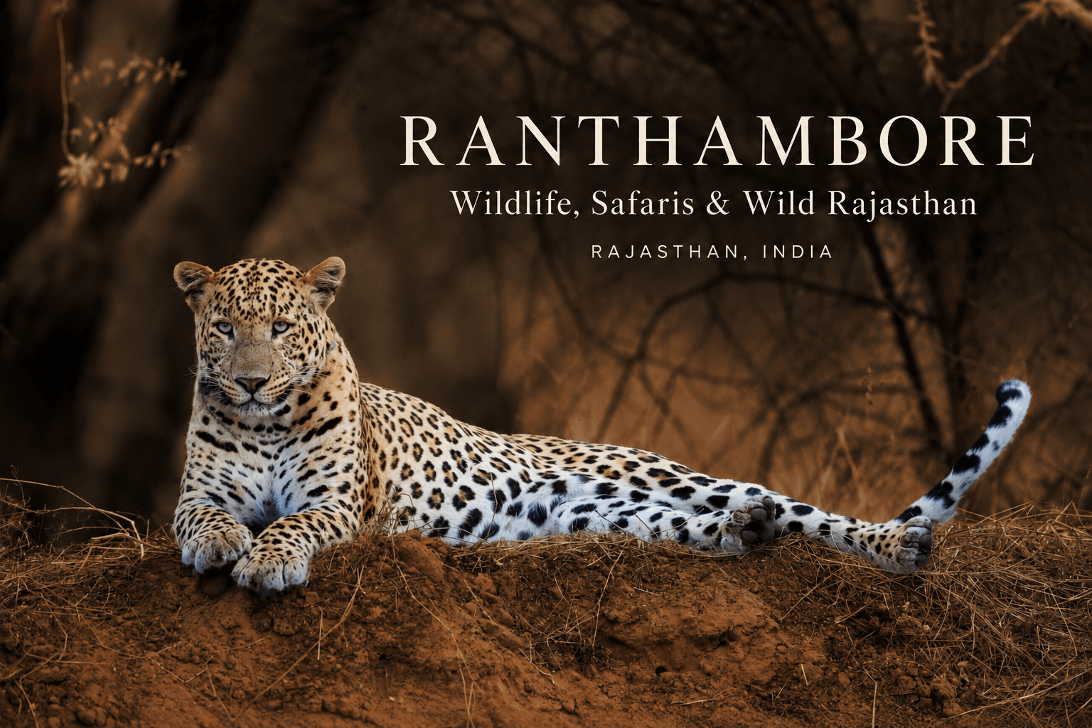 Ranthambore Fort overlooking the forests and lakes of Ranthambore, Rajasthan