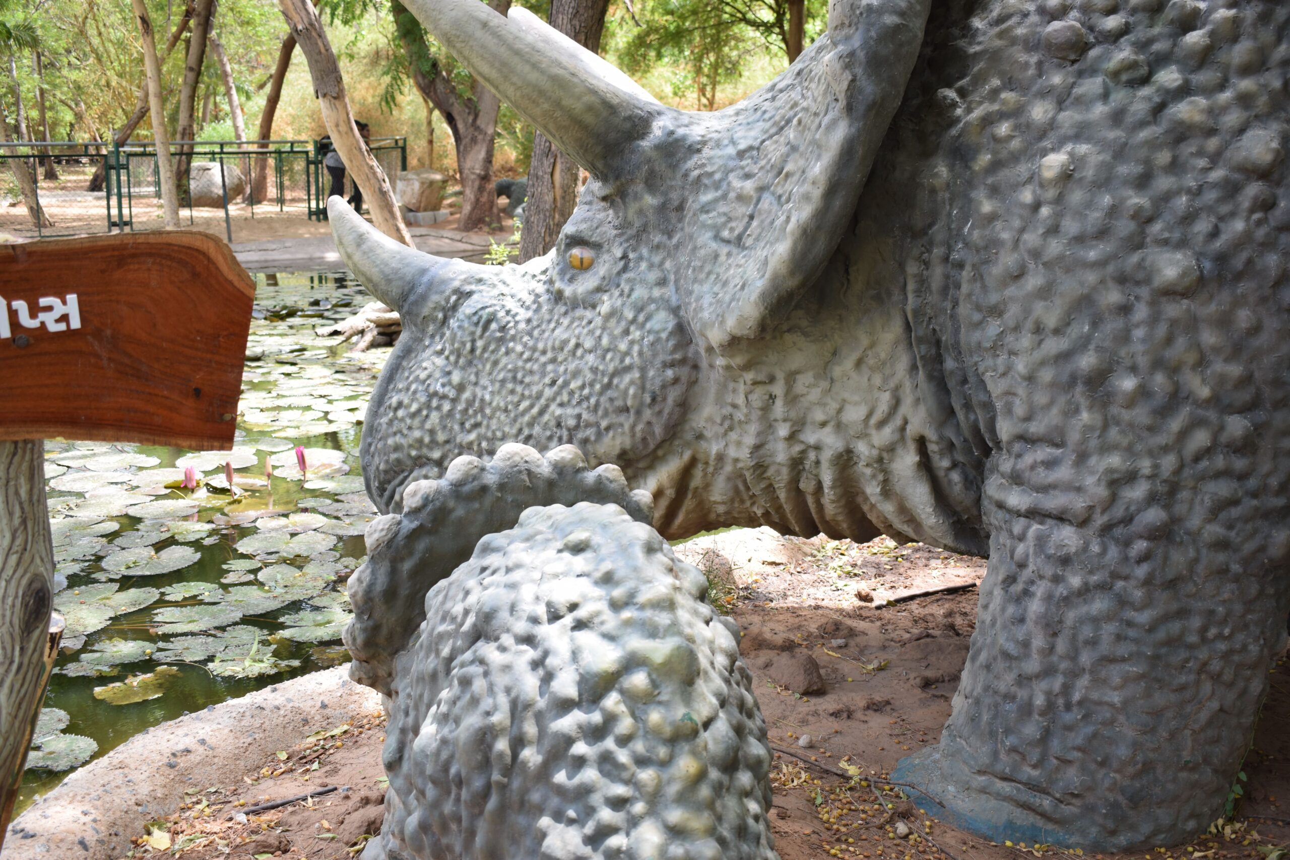 Gandhinagar – Indroda Dinosaur and Fossil Park | Original Gallery