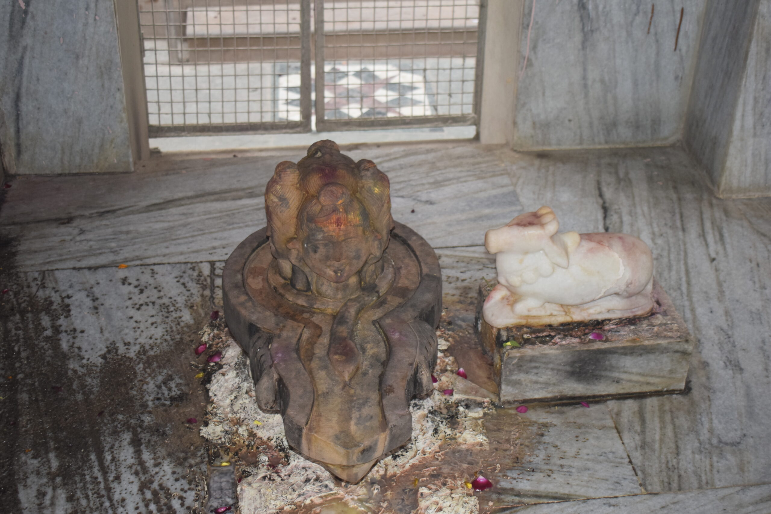panch mukhi shivling